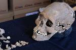 Археологи нашли таинственный череп с инкрустированными зубами